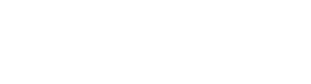 Servicio Plus Express